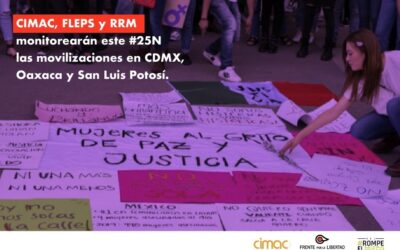 La Red Rompe el Miedo monitoreará las movilizaciones conmemorativas del Día Internacional de la Eliminación de la Violencia en contra de las Mujeres en CDMX, Oaxaca y San Luis Potosí