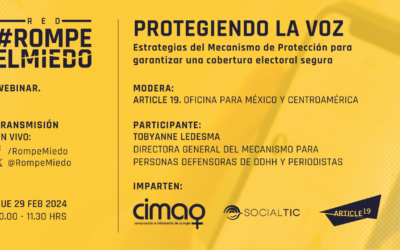 Webinar 11: protegiendo la voz